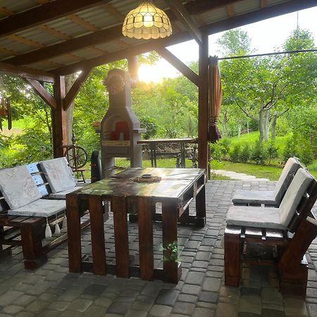 Hotel Окремий Будинок-Апартаменти Rakoshyno Buitenkant foto