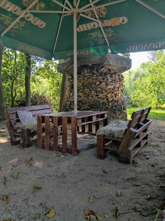 Hotel Окремий Будинок-Апартаменти Rakoshyno Buitenkant foto