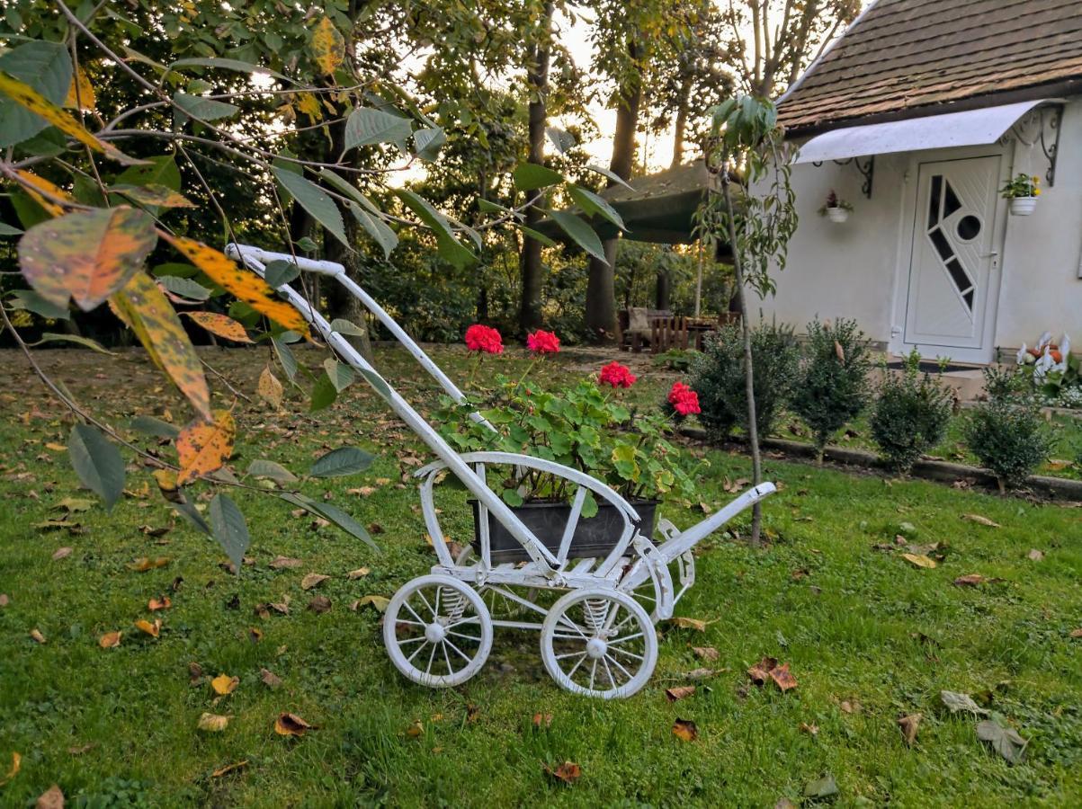 Hotel Окремий Будинок-Апартаменти Rakoshyno Buitenkant foto