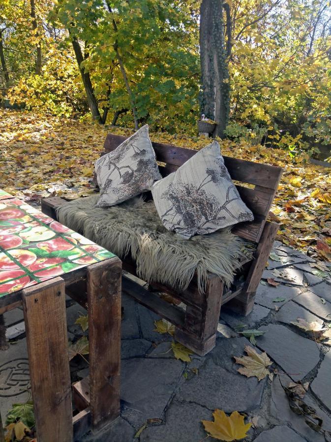 Hotel Окремий Будинок-Апартаменти Rakoshyno Buitenkant foto