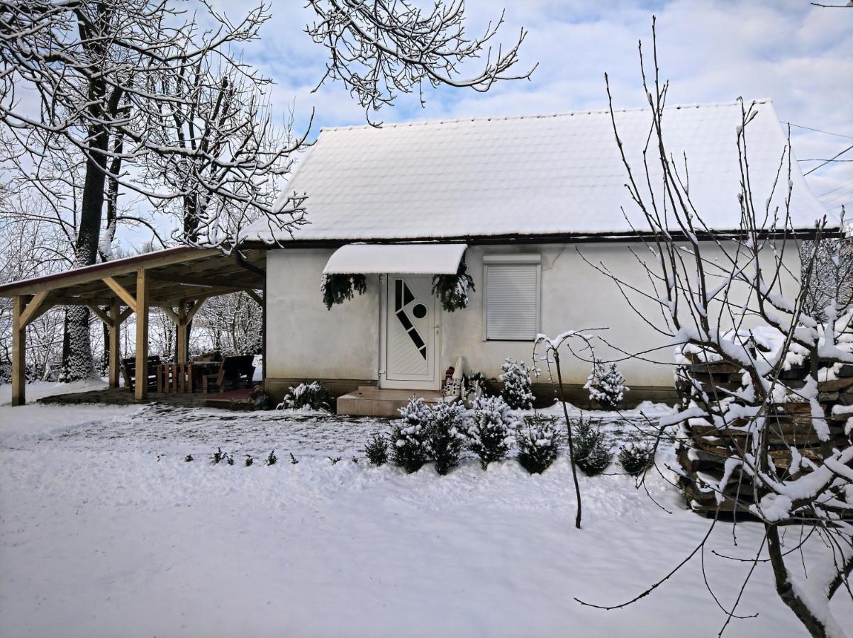 Hotel Окремий Будинок-Апартаменти Rakoshyno Buitenkant foto