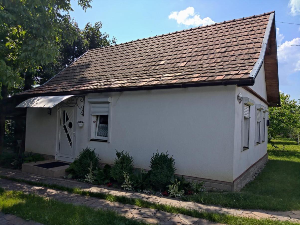 Hotel Окремий Будинок-Апартаменти Rakoshyno Buitenkant foto