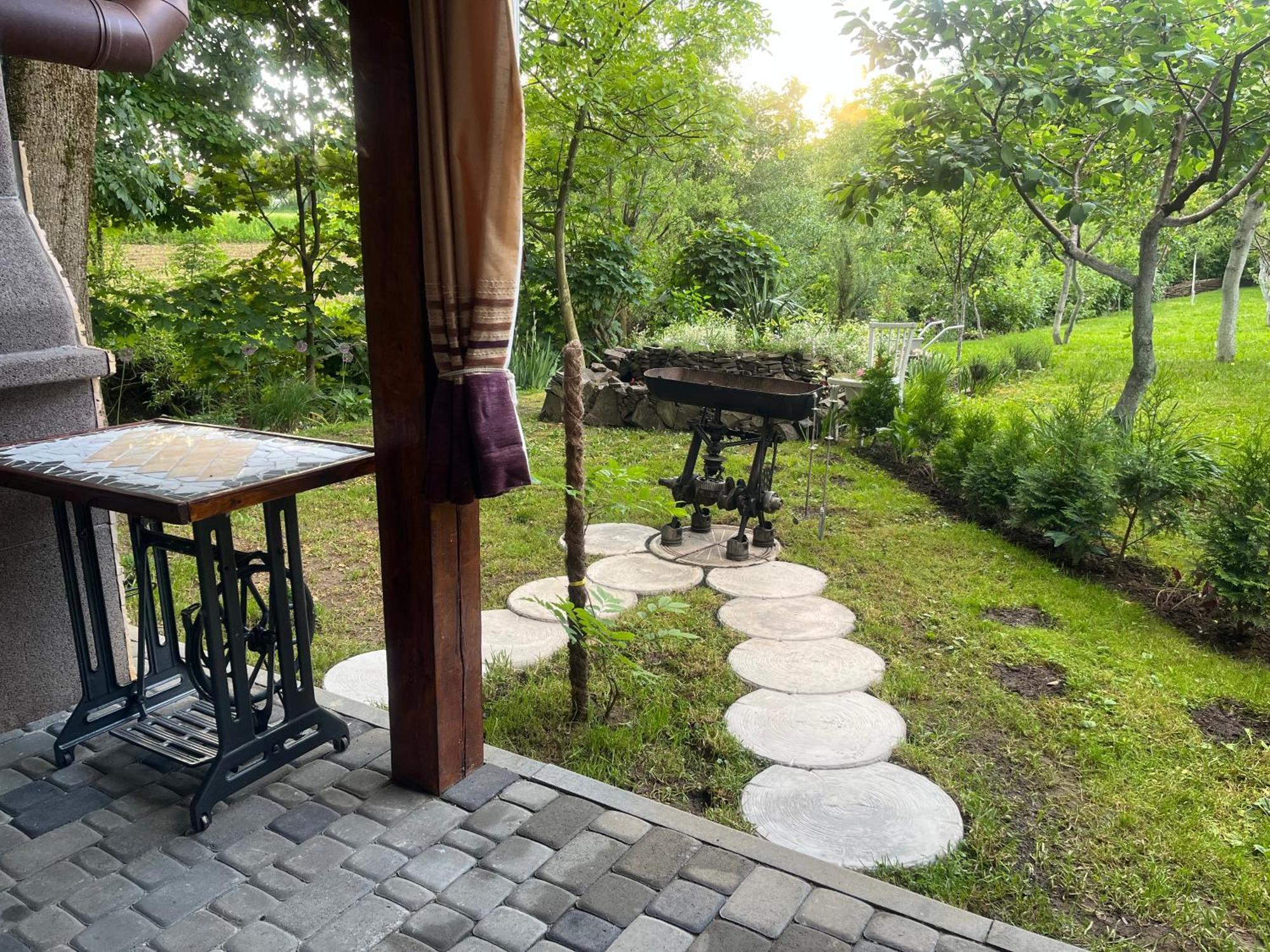 Hotel Окремий Будинок-Апартаменти Rakoshyno Buitenkant foto